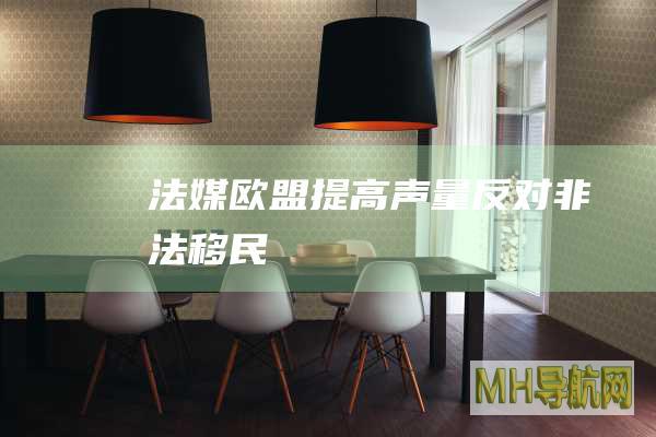 法媒：欧盟提高声量反对非法移民