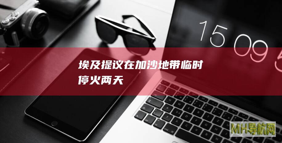 埃及提议在加沙地带临时停火两天