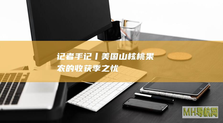 记者手记丨美国山核桃果农的收获季之忧