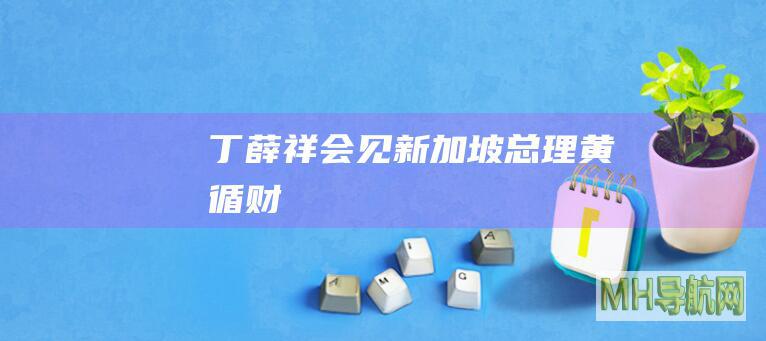 丁薛祥会见新加坡总理黄循财
