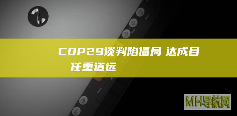 COP29谈判陷僵局　达成目标任重道远