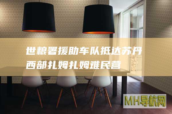 世粮署援助车队抵达苏丹西部扎姆扎姆难民营
