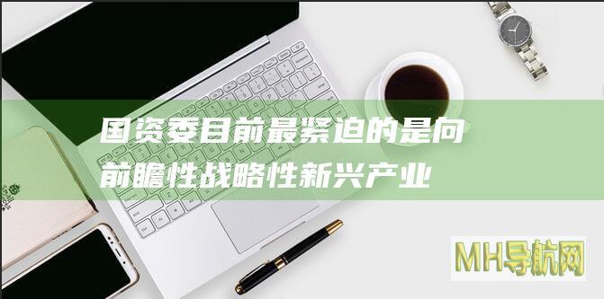 国资委：目前最紧迫的是向前瞻性战略性新兴产业集中-新闻频道