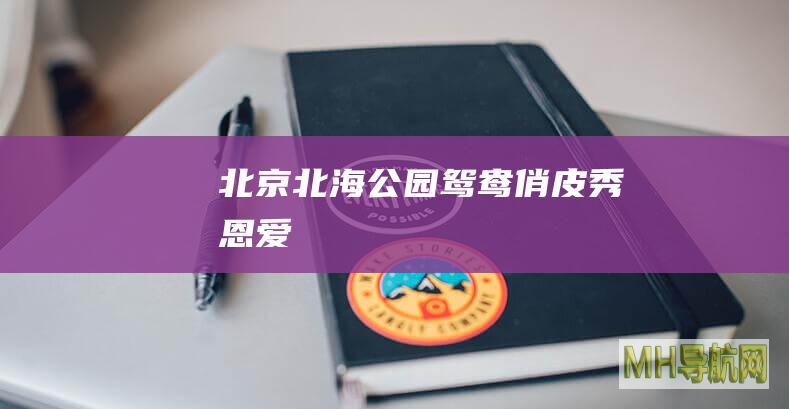北京北海公园鸳鸯俏皮“秀恩爱”