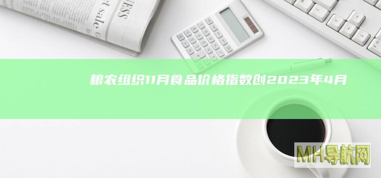 粮农组织11月食品价格指数创2023年4月