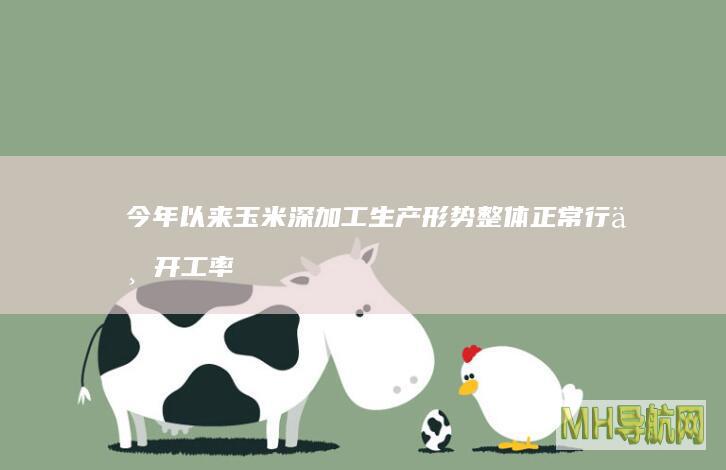 今年以来玉米深加工生产形势整体正常行业开工率明显回升--经济・科技-