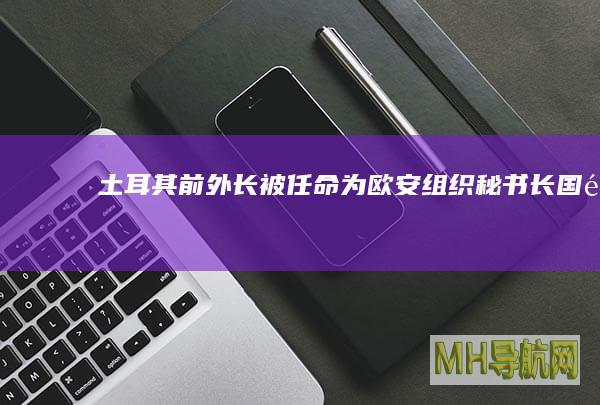 土耳其前外长被任命为欧安组织秘书长--国际-