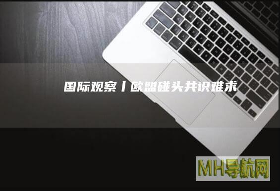 国际观察丨欧盟碰头共识难求