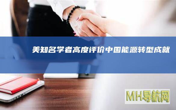 美知名学者高度评价中国能源转型成就