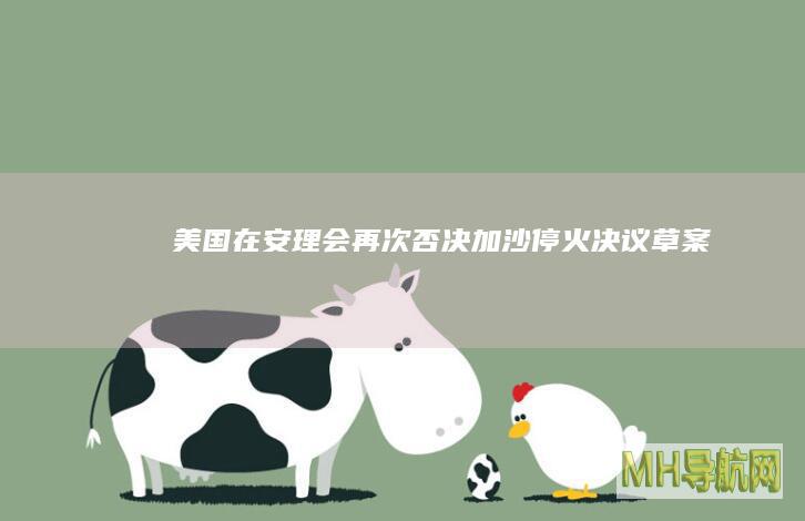 美国在安理会再次否决加沙停火决议草案
