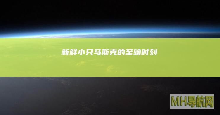 新鲜小只|马斯克的至暗时刻