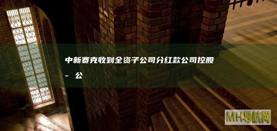 中新赛克：收到全资子公司分红款|公司控股子公司